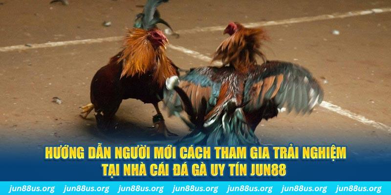 vf555 CQ9 Điện Tử
