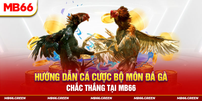 vf555 bắn cá nổ hũ