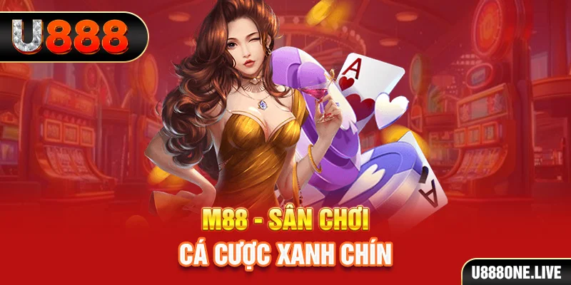 vf555 xổ số miền nam hàng tuần