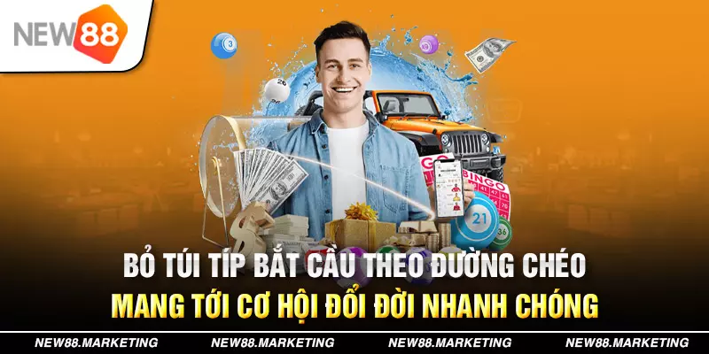 vf555 789bet có bao nhiêu sảnh game bài 3d ？