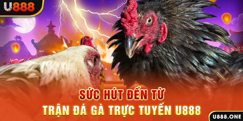 vf555 nổ hũ b29 là gì
