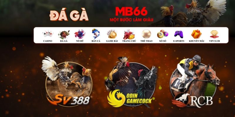 vf555 đăng nhập poker số 1