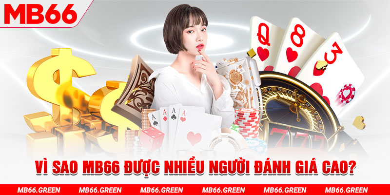 vf555 đá gà