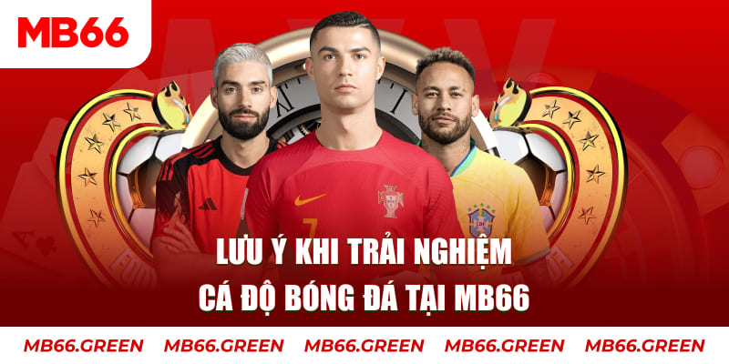 vf555 cá cược là gì