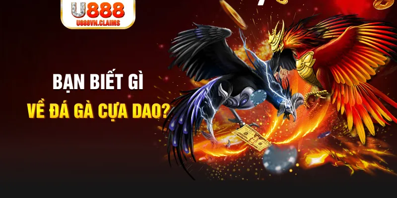 vf555 nổ hủ là gì