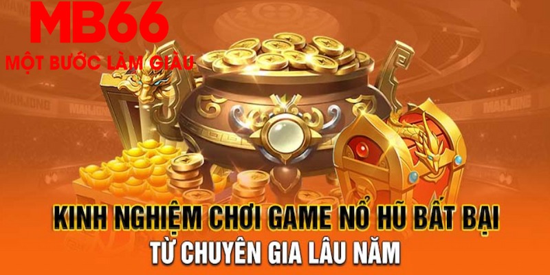 vf555 1 slot là gì