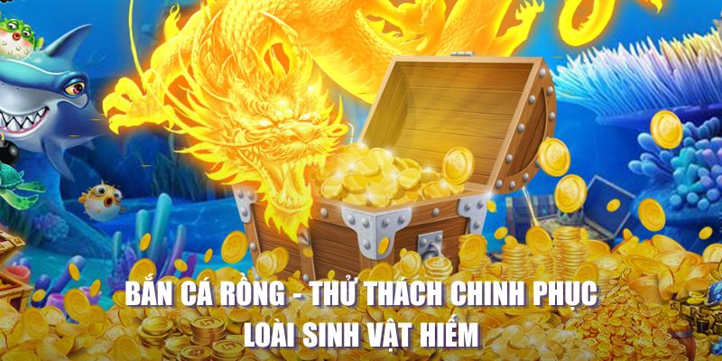 vf555 máy slot game là loại trò chơi gì？
