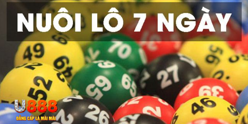 vf555 slot là j
