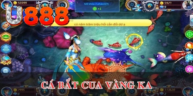 vf555 kết quả xổ số hôm nay