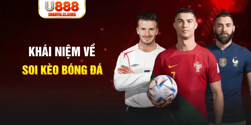 vf555 xổ số miền bắc hàng tuần