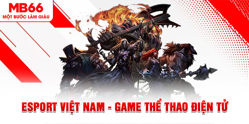 vf555 what are the most popular casino games
