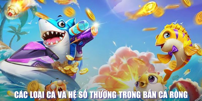 vf555 đăng nhập sòng bạc mới nhất