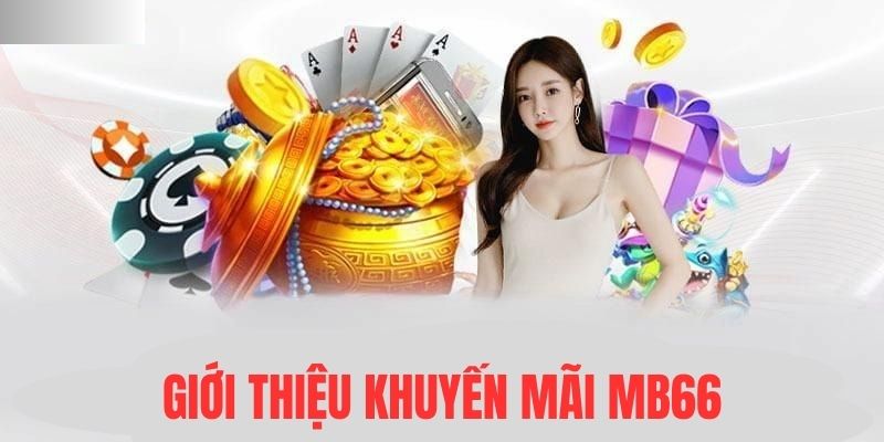 vf555 Đĩa màu ace