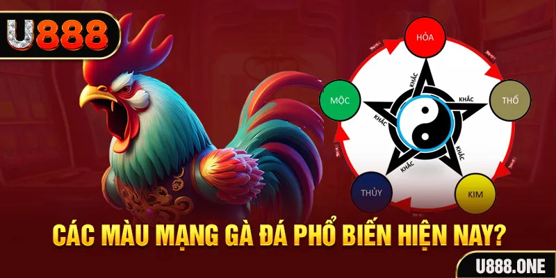 vf555 trực tiếp đá gà 88