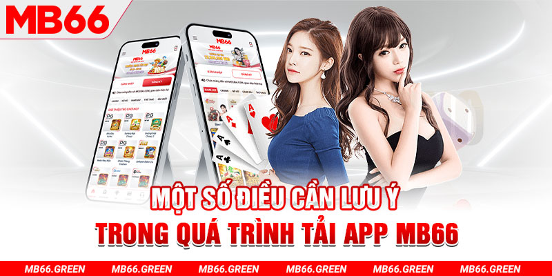 vf555 c1 gà chọi