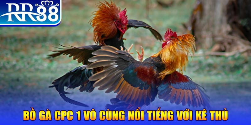 vf555 game máy bay nổ hũ