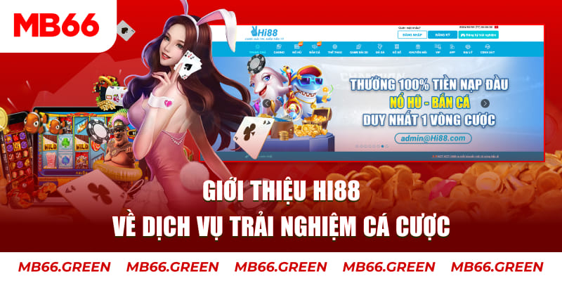 vf555 ga choi hoa phong