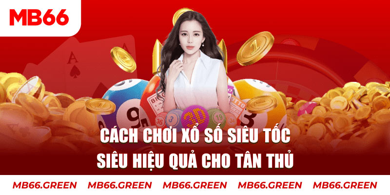 vf555 Cỡ bảy