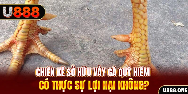 vf555 nohu .mx nổ hủ là gì