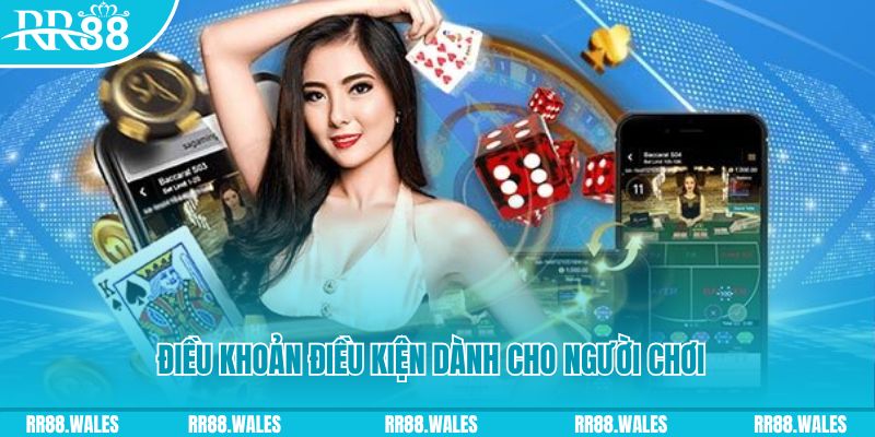 vf555 casino gồm những gì