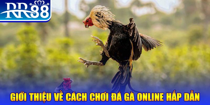 vf555 game nổ hũ rút tiền mặt là gì