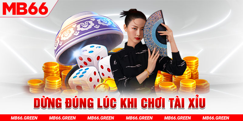 vf555 đăng nhập lô đề 2025
