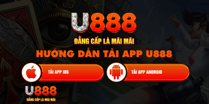 vf555 2 slot là gì
