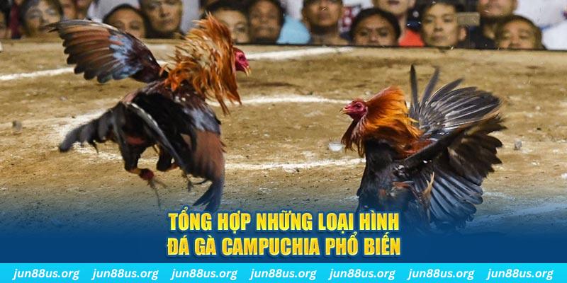 vf555 đăng nhập nổ hũ 2024