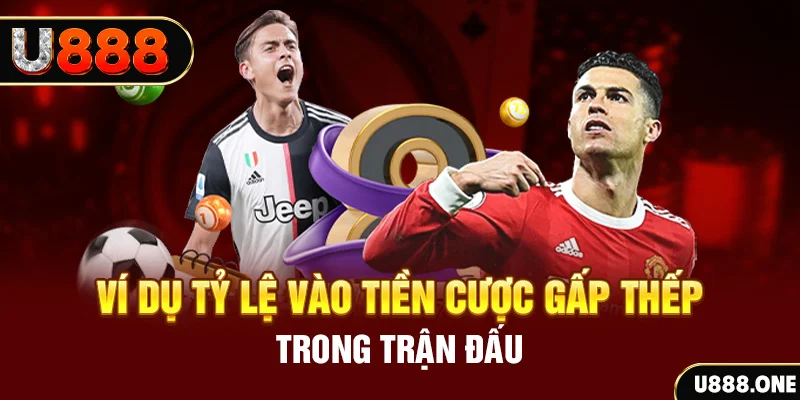 vf555 kết quả xổ số 30 ngày