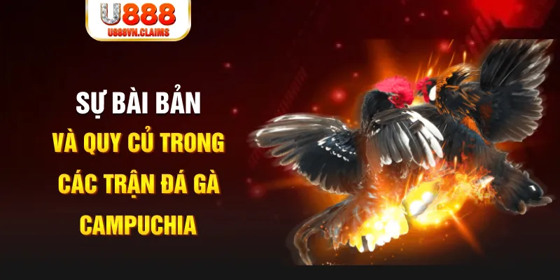 vf555 YGR Điện Tử