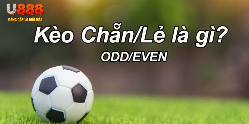 vf555 đăng nhập poker hôm nay