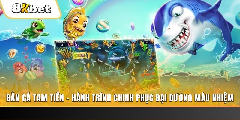 vf555 xổ số bình định
