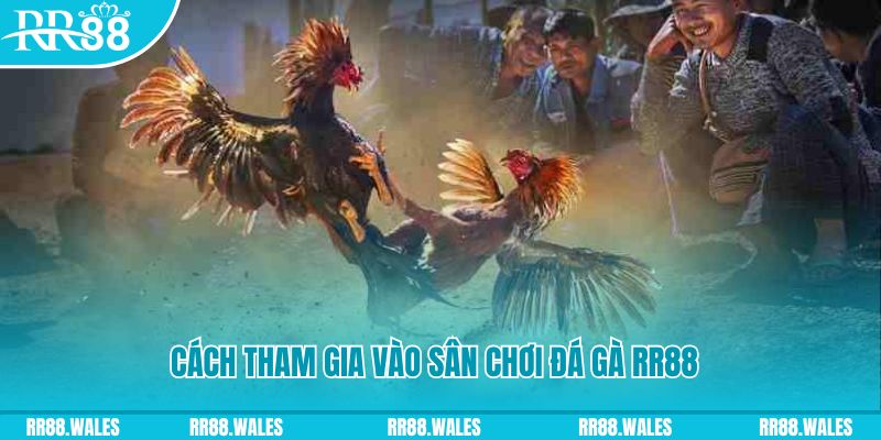 vf555 chơi nổ hũ kiêng kỵ gì