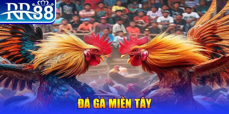 vf555 đăng nhập nổ hũ