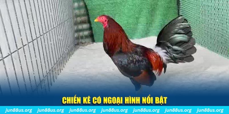vf555 chạy quảng cáo cho game bài bị phạt như thế nào