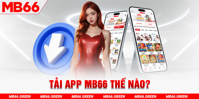 vf555 đá gà 88