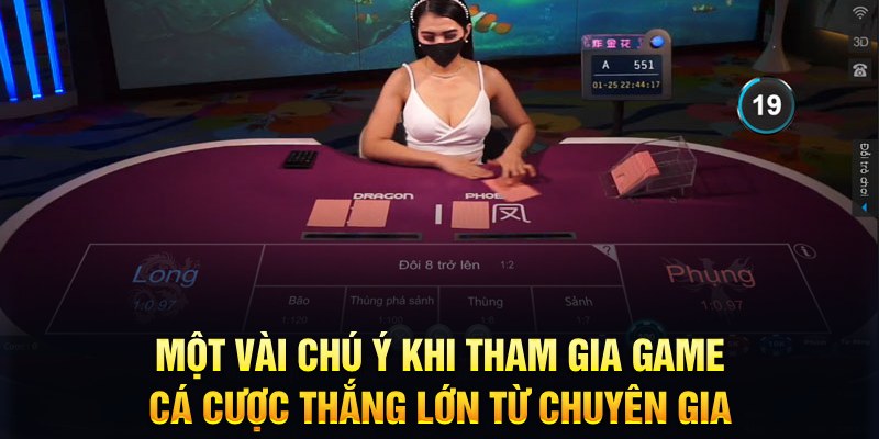 vf555 đăng nhập roulette hôm nay