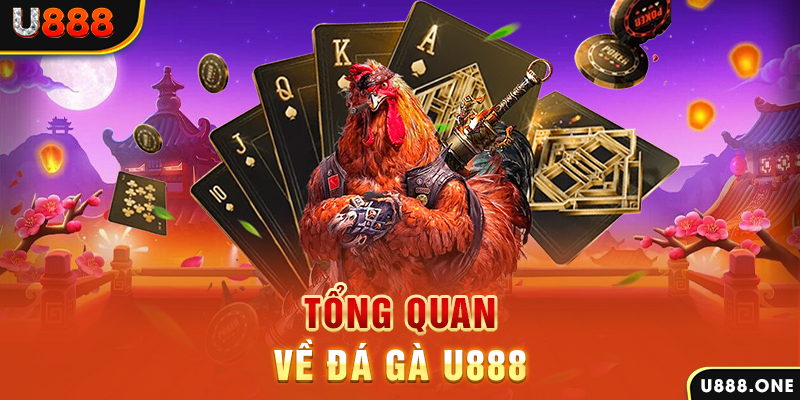 vf555 ILOVEU Điện Tử