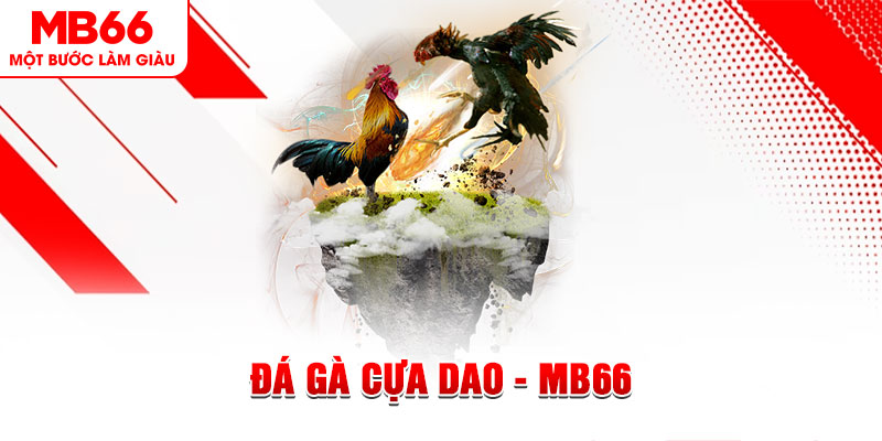 vf555 đá gà sv388 gold